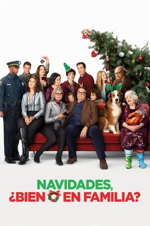 Navidades, ¿bien o en familia? portada