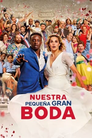 Nuestra pequeña gran boda portada