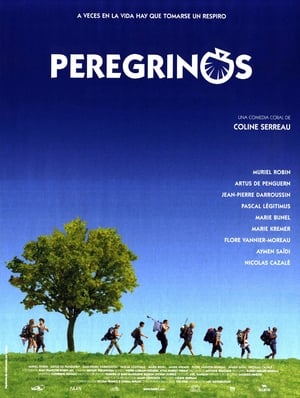 Peregrinos portada