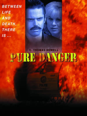 Pure Danger portada