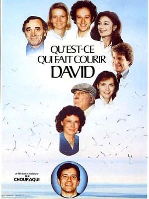 Qu'est-ce qui fait courir David ? portada