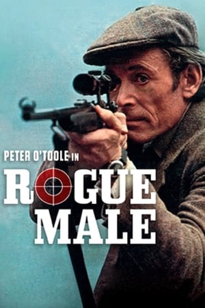 Rogue Male portada