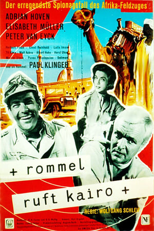 Rommel llama al Cairo portada