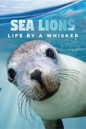 Sea Lions: Life By a Whisker portada