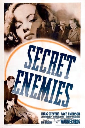 Secret Enemies portada