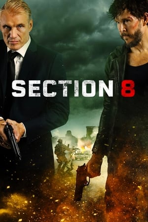 Section 8 portada