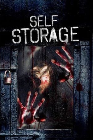 Self Storage portada