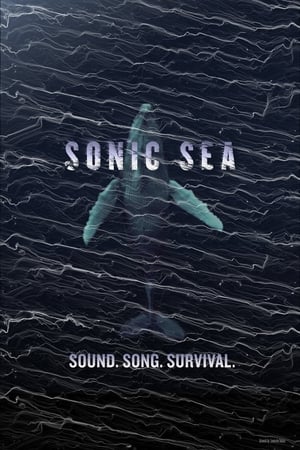 Sonic Sea portada