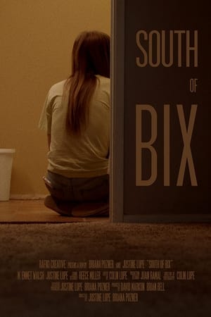 South of Bix portada