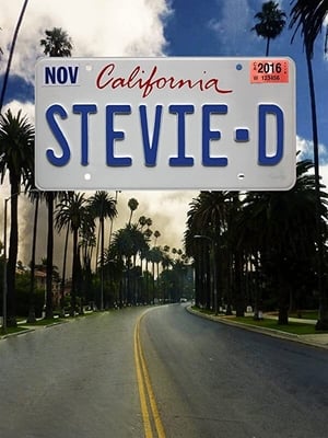 Stevie D portada