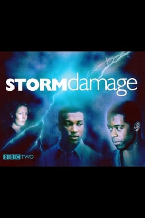 Storm Damage portada