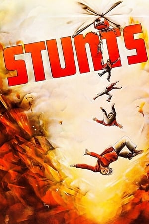 Stunts portada