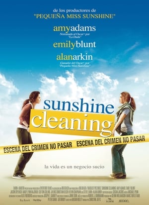 Sunshine Cleaning portada