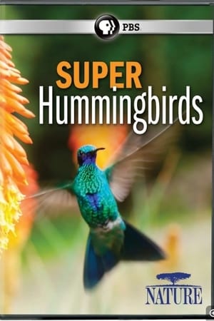 Super Hummingbirds portada