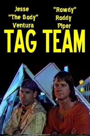 Tagteam portada