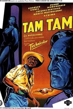 Tam tam mayumbe portada