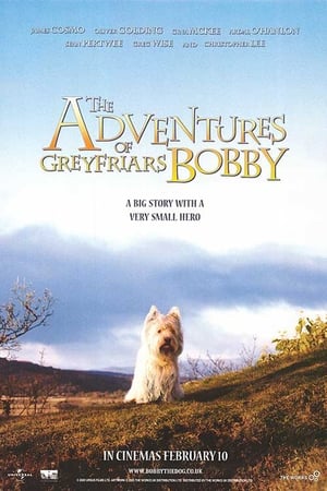 The Adventures of Greyfriars Bobby portada