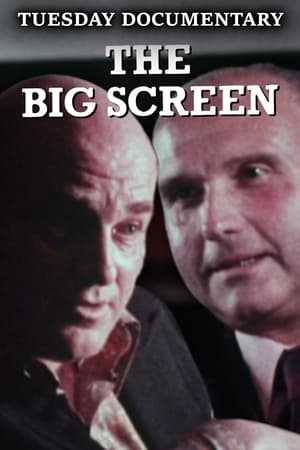 The Big Screen portada