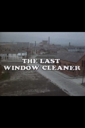 The Last Window Cleaner portada