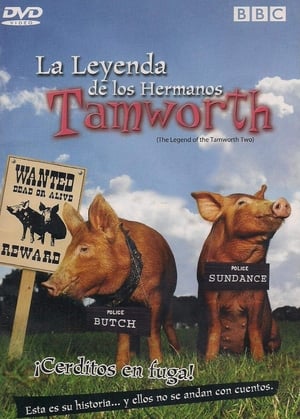 The Legend of the Tamworth Two portada