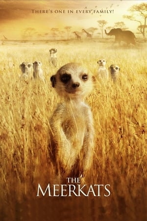 The Meerkats portada