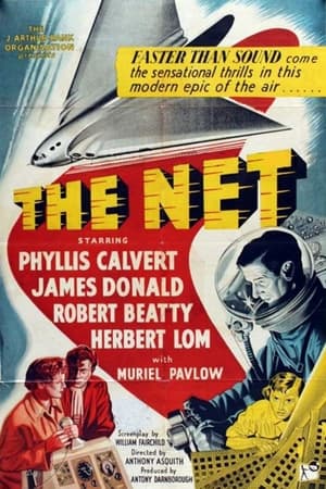 The Net portada