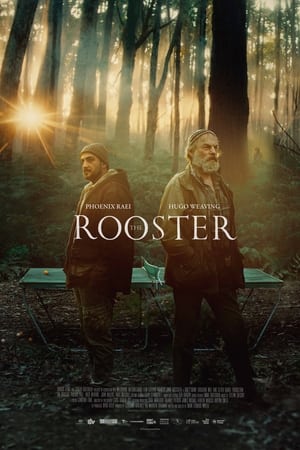 The Rooster portada