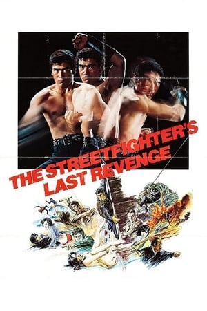 The Street Fighter 3: Last Revenge portada