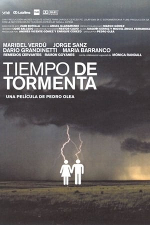 Tiempo de tormenta portada