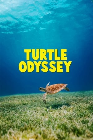 Turtle Odyssey portada