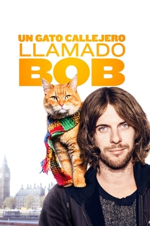 Un gato callejero llamado Bob portada