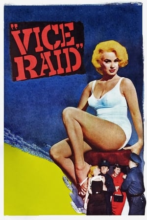 Vice Raid portada