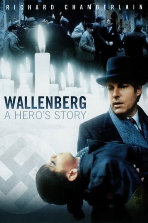 Wallenberg: A Hero's Story portada