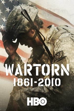 Wartorn: 1861-2010 portada