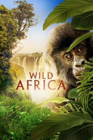 Wild Africa portada