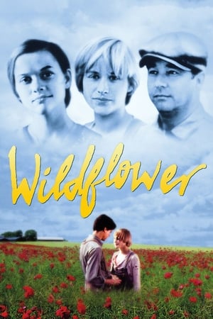 Wildflower portada