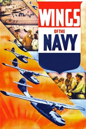 Wings of the Navy portada