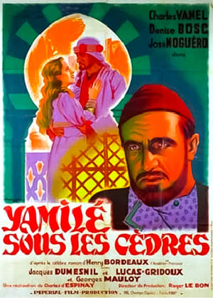 Yamilé sous les cèdres portada