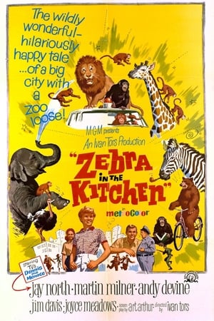 Zebra in the Kitchen portada