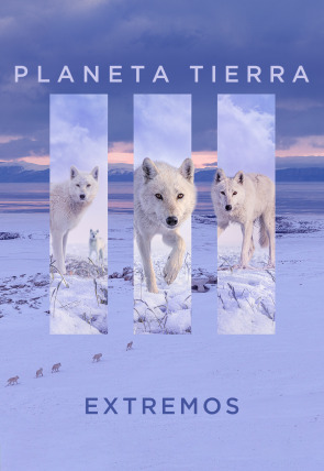 Planeta Tierra III: Costas portada