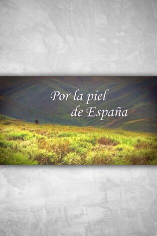 Por la piel de España: Por el camino y El Alto Carrión portada