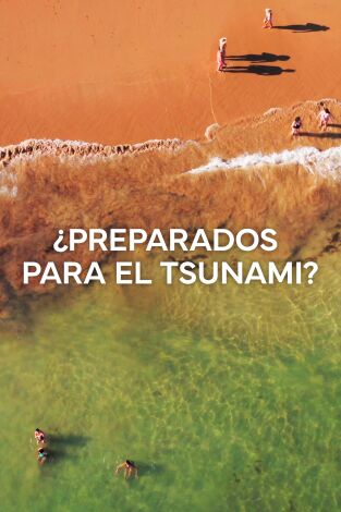 ¿Preparados para el Tsunami? portada