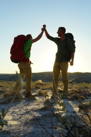 Rock the Park: Bosque Nacional Coconino portada