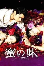 Temporada 1 de 蜜の味～A Taste of Honey～