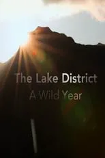 Portada de A Wild Year