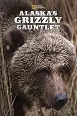 Portada de Alaska's Grizzly Gauntlet