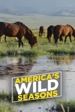 Portada de America's Wild Seasons