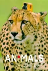 Portada de Animales con camaras