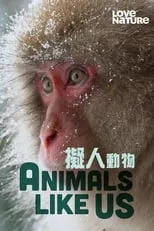 Portada de Animals Like Us