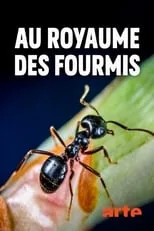 Portada de Au royaume des fourmis